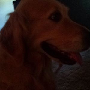 Meet your Posher, Michele